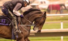 horseback riding