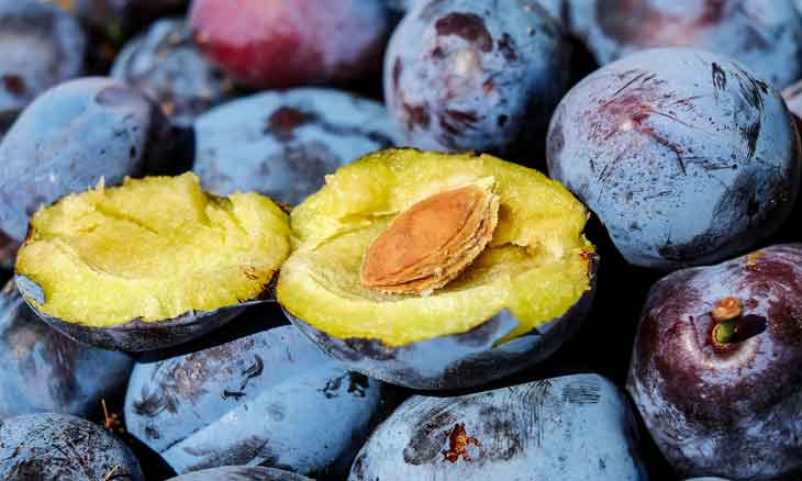 unknown fruit