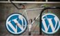 wordpress cms