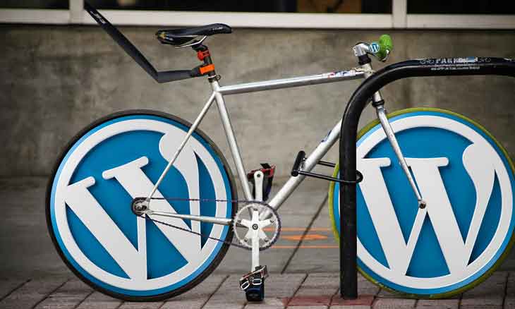 wordpress cms